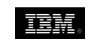 IBM Bussines Partner